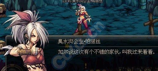 DNF帕丽斯的性能和特点如何？